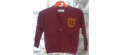 Cardigan - Archdeacon John Lewis Primary